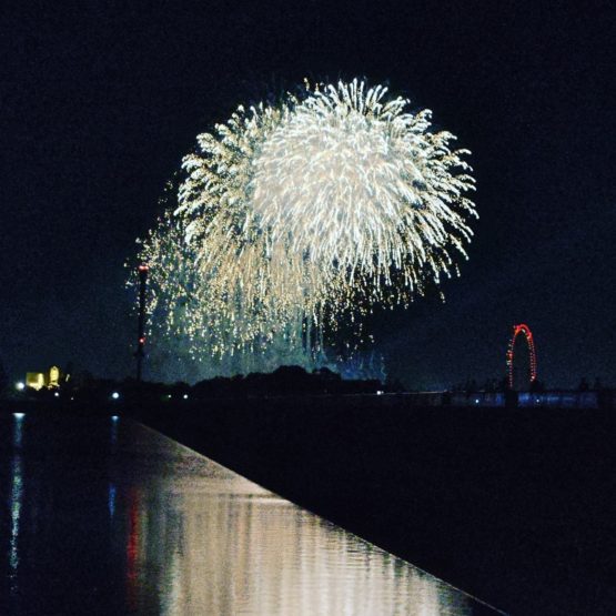 西武遊園地の花火を多摩湖から撮った写真