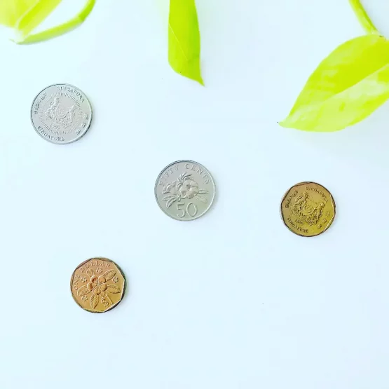 海外のコインの写真