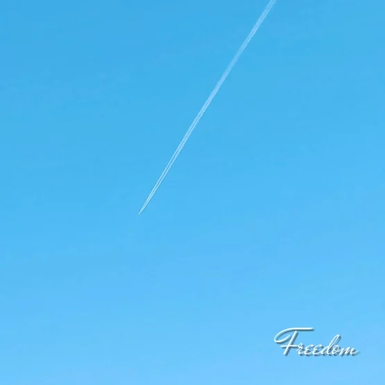 青空と飛行機雲の写真