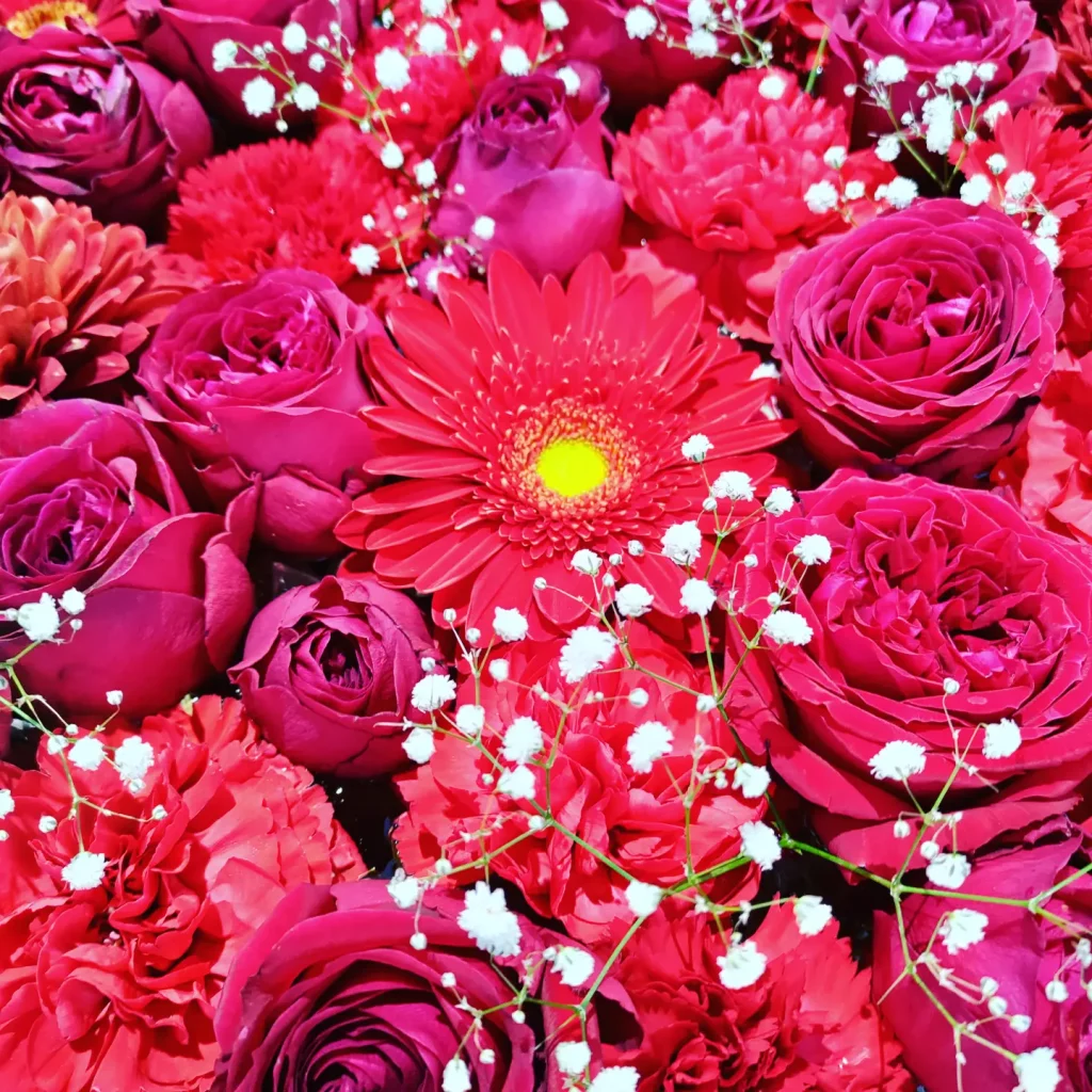 赤いバラ、赤いガーベラなど赤い花が浮かんでいる花手水の写真