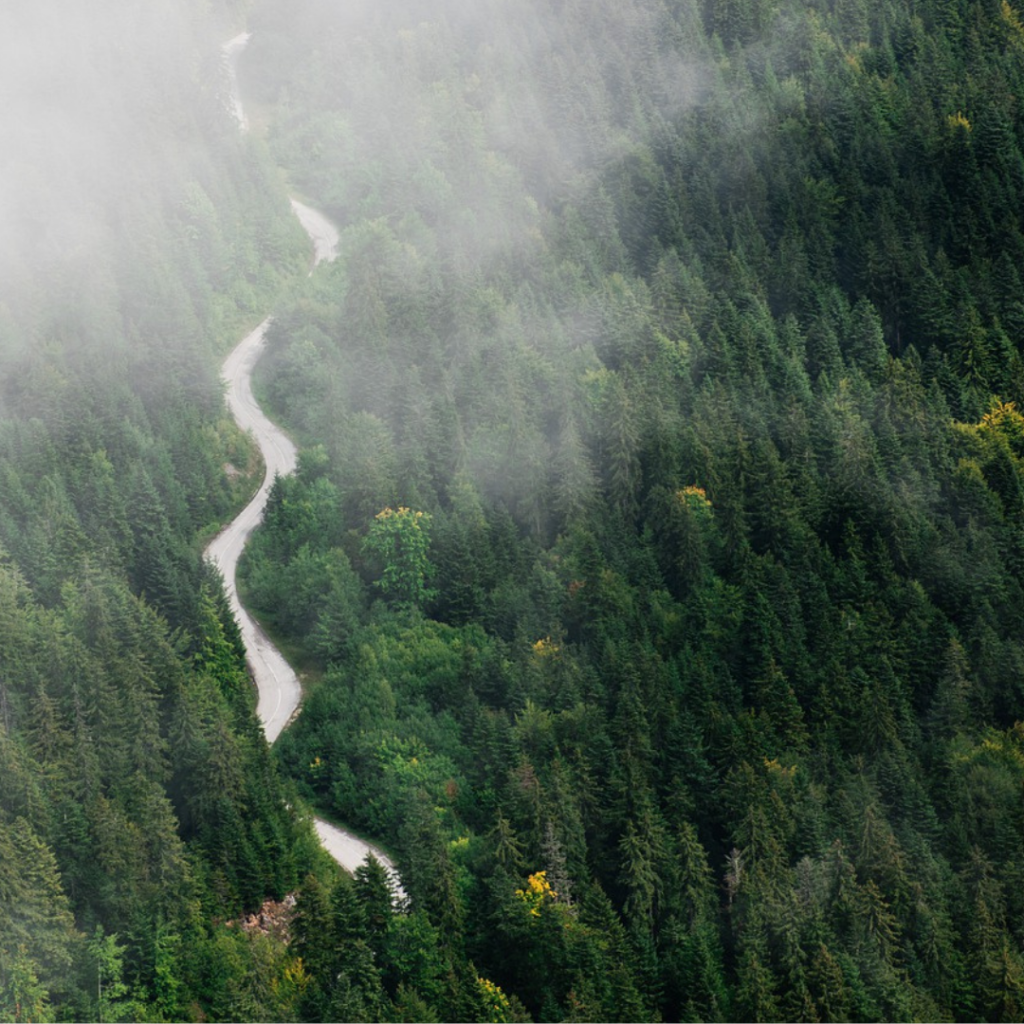 ヨーロッパの森にキリがかかっている空から撮った写真