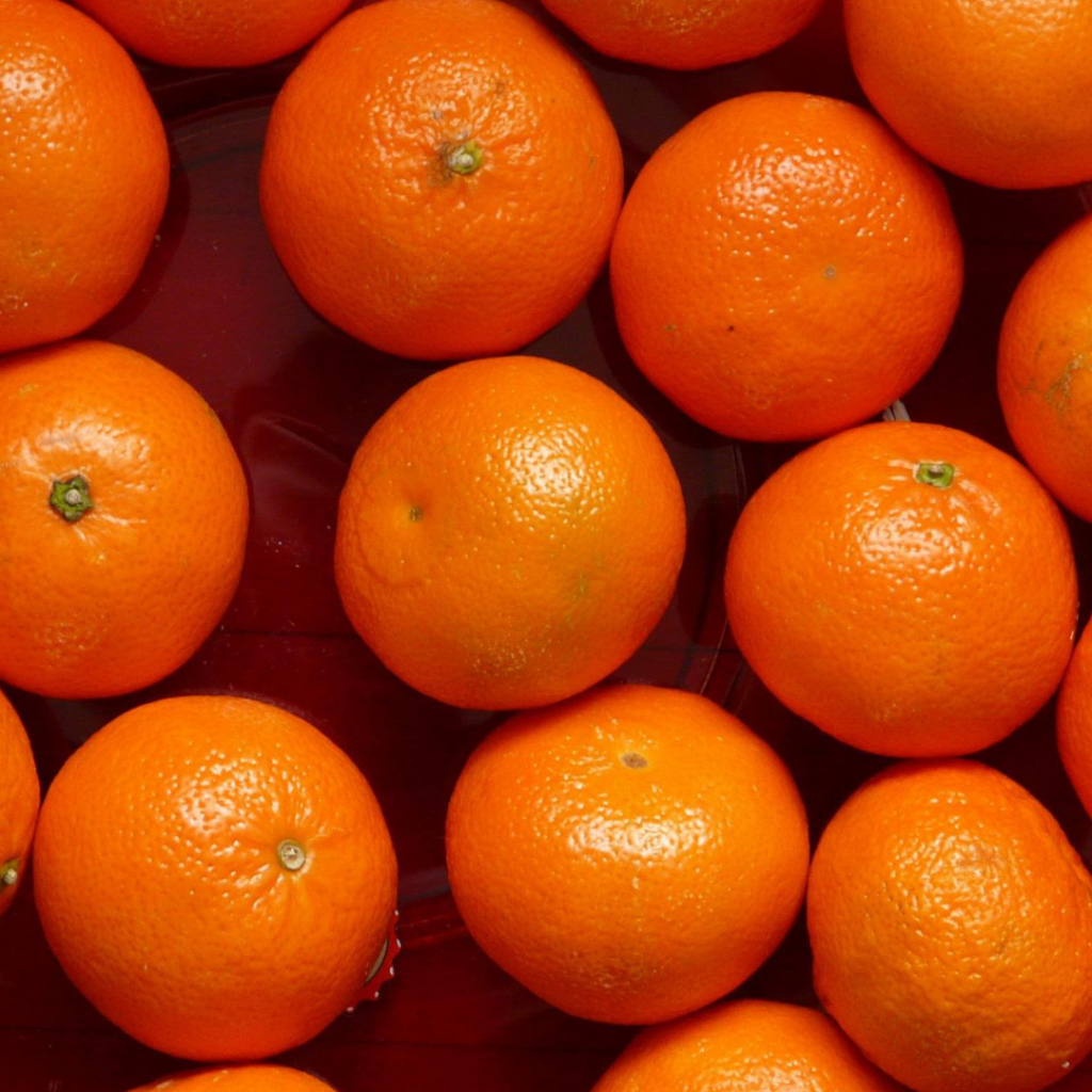 タンジェリンオレンジの写真