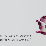 ホワイトの壁の前で()よっくさく赤紫の縁取りのあるチューリーップの写真